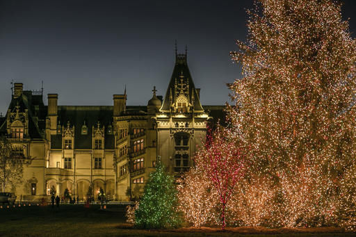 Looking for some Christmas sparkle and fun? Find it here